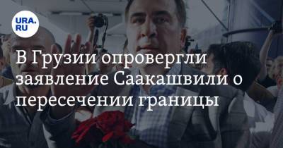 В Грузии опровергли заявление Саакашвили о пересечении границы
