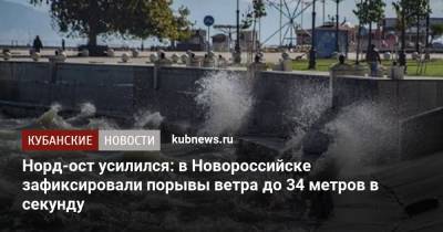 Норд-ост усилился: в Новороссийске зафиксировали порывы ветра до 34 метров в секунду