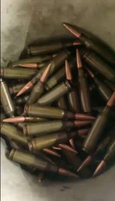 В Подпорожском районе обнаружили наркоплантацию и арсенал оружия — видео