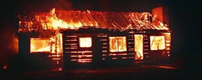 В Пермском крае в деревне Новая Каменка во время пожара погибли двое детей