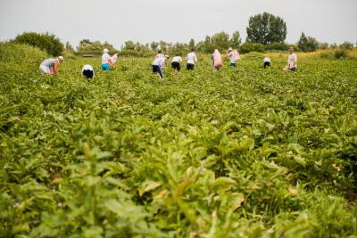 Астраханские фермеры примут на работу больше иностранцев