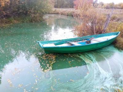 Стало известно, почему река в Удмуртии окрасилась в бирюзовый цвет