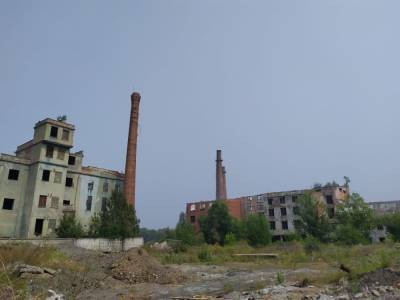 Ученые выявили превышение ПДК свинца в тысячи раз на промплощадке бывшего завода в Свирске