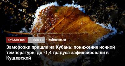 Заморозки пришли на Кубань: понижение ночной температуры до -1,4 градуса зафиксировали в Кущевской