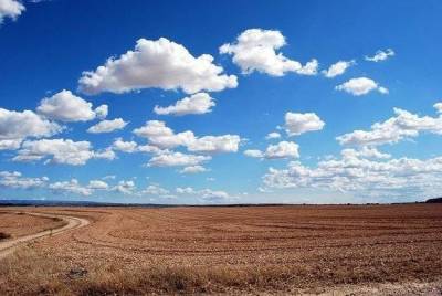 Рынок земли: В Украине продали около 60 тысяч гектаров