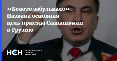 «Болото забулькало». Названа основная цель приезда Саакашвили в Грузию