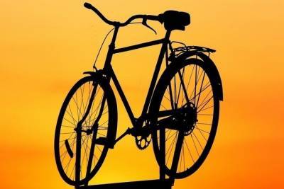 В Брянске полиция вернула владельцу украденный велосипед