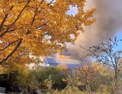 Мужчину с обожженной спиной госпитализирован после пожара во Всеволожском районе – видео