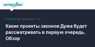 Какие проекты законов Дума будет рассматривать в первую очередь. Обзор