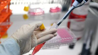 Центр «Вектор» готовит вакцины против высокопатогенных штаммов птичьего гриппа