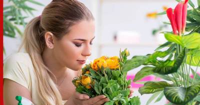 Цветут и пахнут: 8 комнатных растений с приятным ароматом для уюта в доме