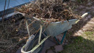 Подготовка к весне: нужно ли осенью перекапывать огород