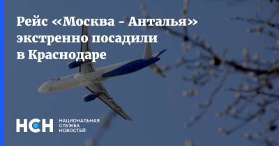 Рейс «Москва - Анталья» экстренно посадили в Краснодаре