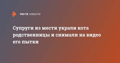 Супруги из мести украли кота родственницы и снимали на видео его пытки