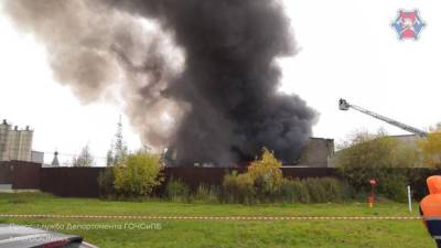 Крупный пожар на складе в Новой Москве ликвидировали