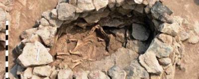 В Западной Армении найдена конская гробница возрастом свыше 2100 лет