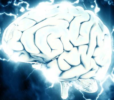 Ученые обнаружили отвечающий за сочинение историй участок мозга