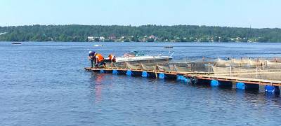 В Минсельхозе Карелии обсудят формирование рыбоводного участка в Олонецком районе