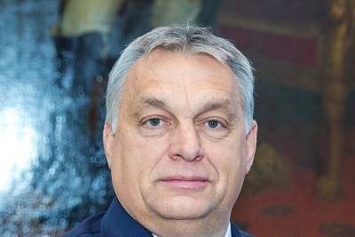 Венгерский премьер-министр призвал не связывать поставку энергоресурсов и политику