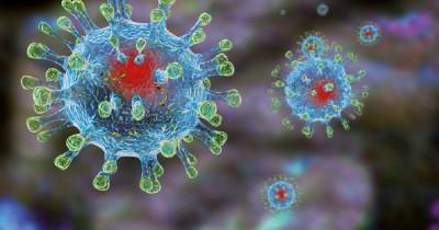 Россия четвертый день подряд бьет антирекорды по смертям от коронавируса