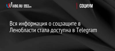 Вся информация о соцзащите в Ленобласти стала доступна в Telegram - ivbg.ru - Украина - Ленинградская обл.
