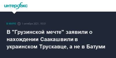 В "Грузинской мечте" заявили о нахождении Саакашвили в украинском Трускавце, а не в Батуми
