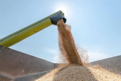 Пошлина на экспорт пшеницы из России с 6 по 12 октября вырастет до $57,8 за тонну