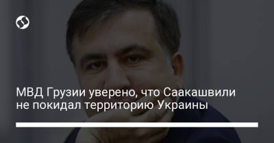 МВД Грузии уверено, что Саакашвили не покидал территорию Украины