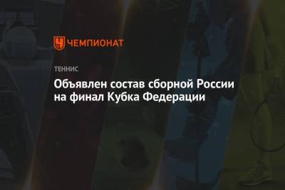 Объявлен состав сборной России на финал Кубка Федерации