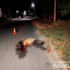 В Васильевке неизвестный водитель насмерть сбил мужчину и скрылся с места ДТП. Фото