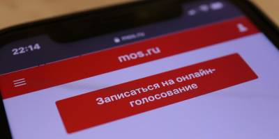 Техническая группа не нашла нарушений в системе онлайн-голосования в Москве