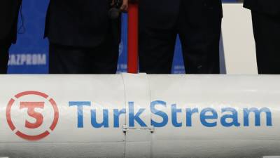 «Газпром» начал поставки в Хорватию и Венгрию через «Турецкий поток»