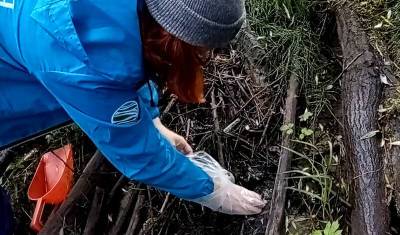 Иван Иванов - Активисты нашли остатки нефти, брошенные после разлива на Ошском месторождении - newizv.ru - Усинск