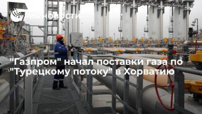 "Газпром" сообщил о начале поставок газа по "Турецкому потоку" в Хорватию