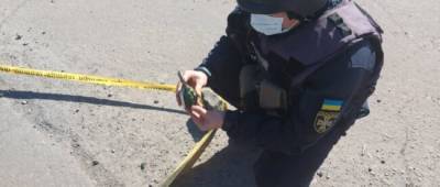 В Донецкой области во дворе дома нашли ручную гранату