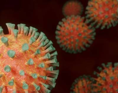Ученые нашли способ восстановления обоняния после коронавируса