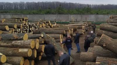 В Украине с начала года осудили более 40 человек за незаконную продажу лесных ресурсов — СБУ