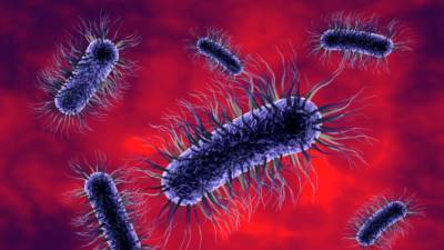 Микробиолог Прен обнаружил связь между оральными бактериями и раком кишечника