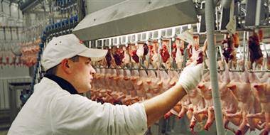 "Черкизово" в 2021 году планирует увеличить производство мяса птицы на 3-5%