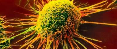 Учёные выяснили, почему рак не поддаётся химиотерапии
