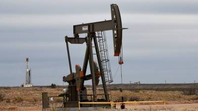 В Фонде энергетического развития высказались о динамике спроса на нефть