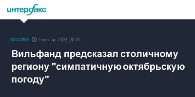 Вильфанд предсказал столичному региону "симпатичную октябрьскую погоду"