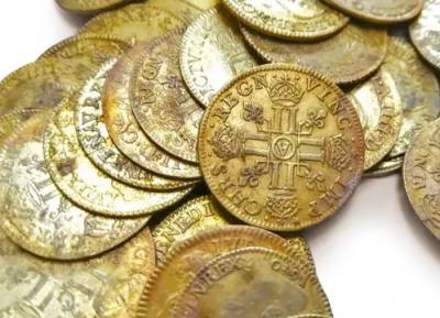 Во Франции семья нашла в своем доме клад с золотыми монетами. ФОТО