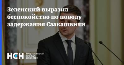 Зеленский выразил беспокойство по поводу задержания Саакашвили