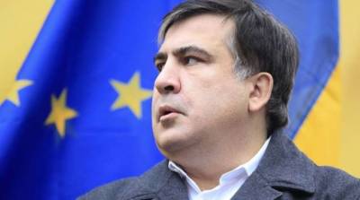 Опубликованы кадры задержания Саакашвили в Грузии (видео)