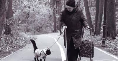 Фото гуляющей с кошкой пенсионерки растрогало россиян