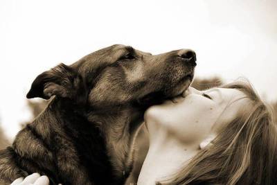 Новое исследование: женщины лучше и крепче спят с собаками, чем с любимыми людьми