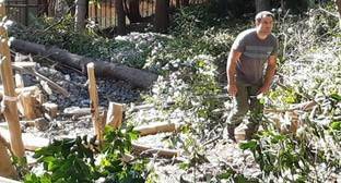Жители Сочи остановили вырубку деревьев в реликтовом парке