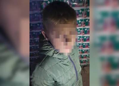 Пропавшего в Приморье 9-летнего мальчика нашли спящим с бездомным щенком