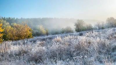 Воронежец показал завораживающие фото утренних заморозков
